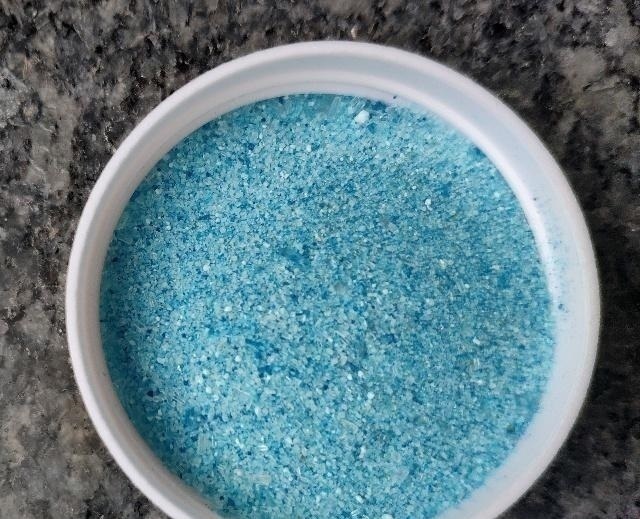 秋季|他养蟹爪兰，浇灌2种“肥水”，嗖嗖冒出“钢锯叶”，满盆开花