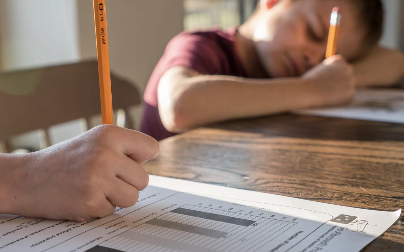 小游戏|孩子经常走神怎么办?TED学者告诉你,影响注意力的2个重要因素