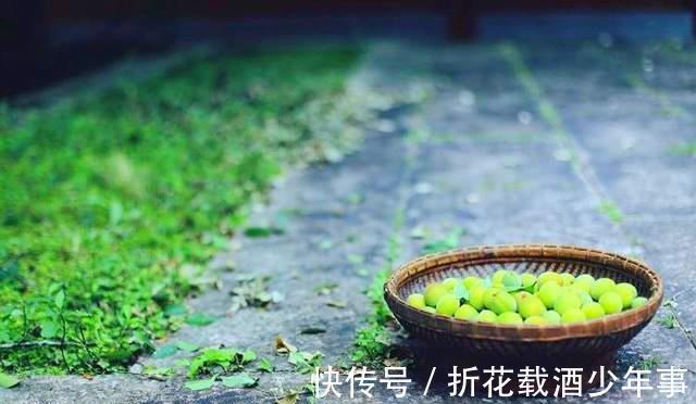 罗玉成&清代奇案:老父被害,落下两个果子,知县慧眼擒凶,破解离奇命案