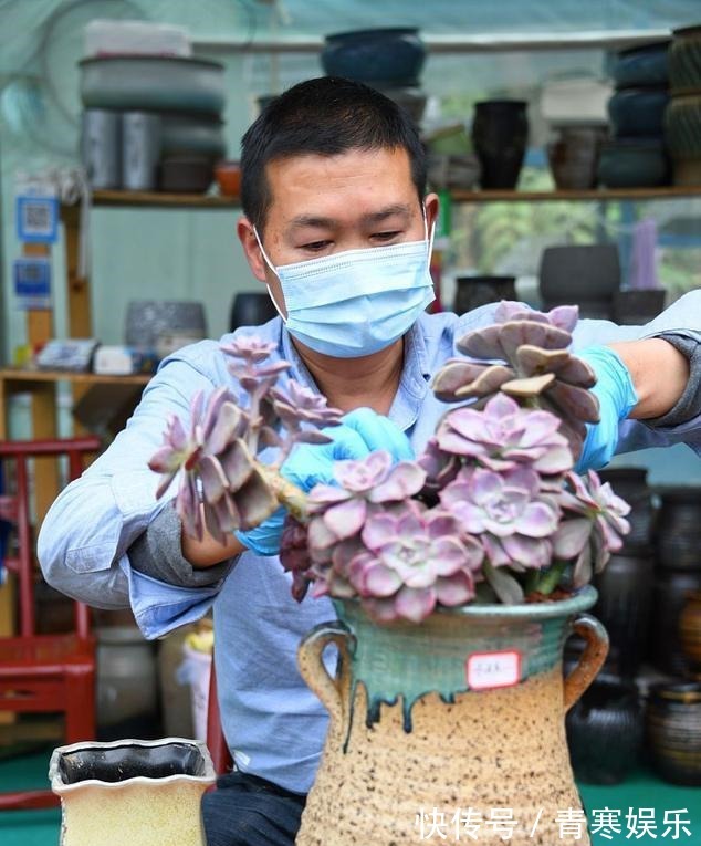 张大哥养肉10多年,总结出4个“耐热品种”,肉迷都喜欢