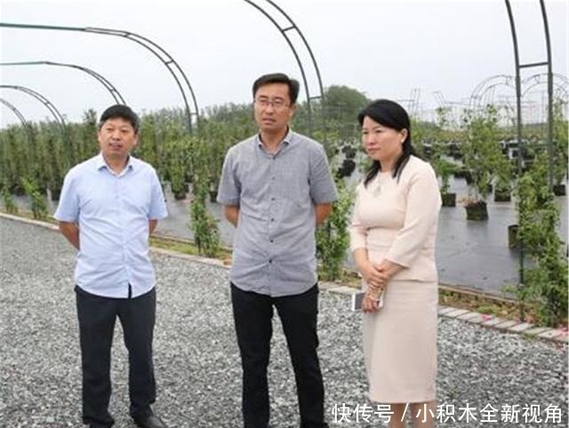 种地|剑桥女博士弃百万年薪回乡种地,年收入破亿,世界五百强找她合作