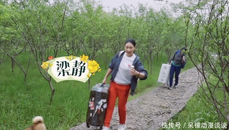 鸡窝 下期《向往5》热闹了,那英梁静来做客,洗碗掏蛋全不落,追定了