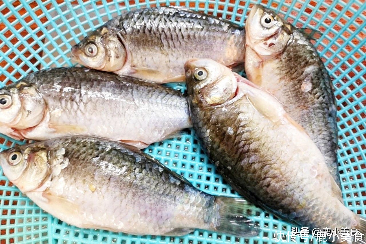 健康度夏|三伏天，吃肉都不能大意！少吃1肉多吃4肉，顺应而食，健康度夏