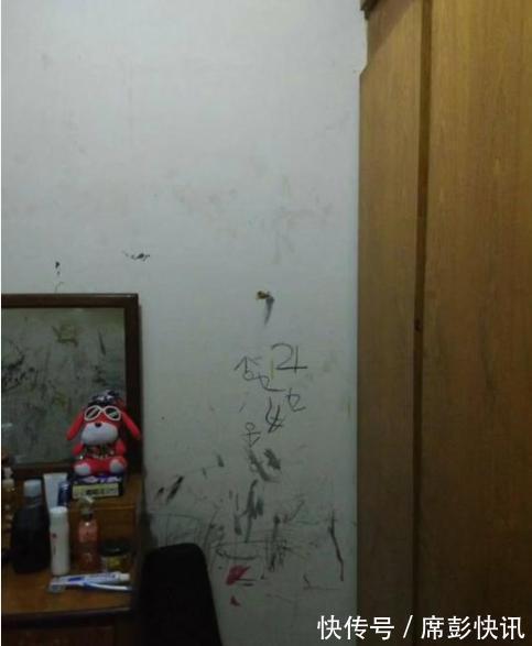 女子|女子漂泊,租10平脏臭房间,时隔不久竟变成了''王国'',真是幸福