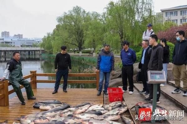 又是别人家的学校！捕万斤鱼，做全鱼宴犒劳全校师生