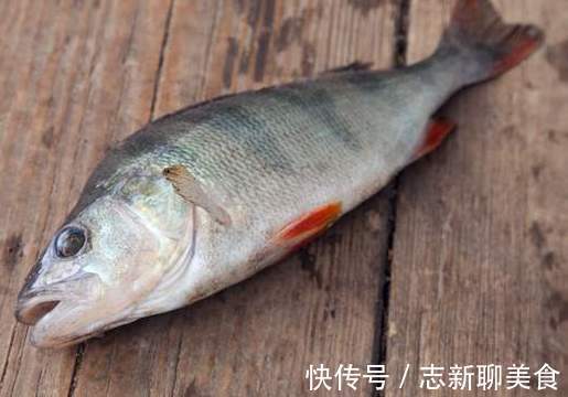 腥味|炖鱼时总有鱼腥味牢牢记住4点，鱼肉又香又嫩，没腥味