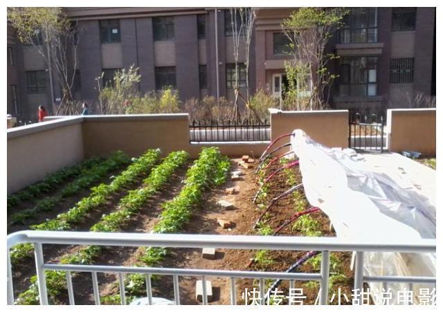 晾晒|为什么如今1楼的房价比其它楼层高?4大好处,让你恍然大悟