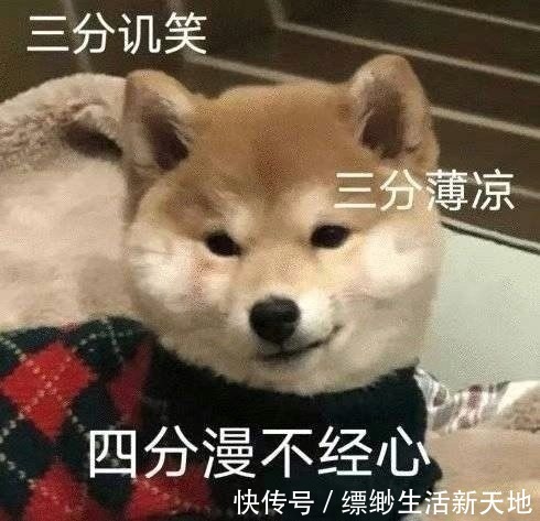 社交软件|30岁女人喜欢玩什么社交软件