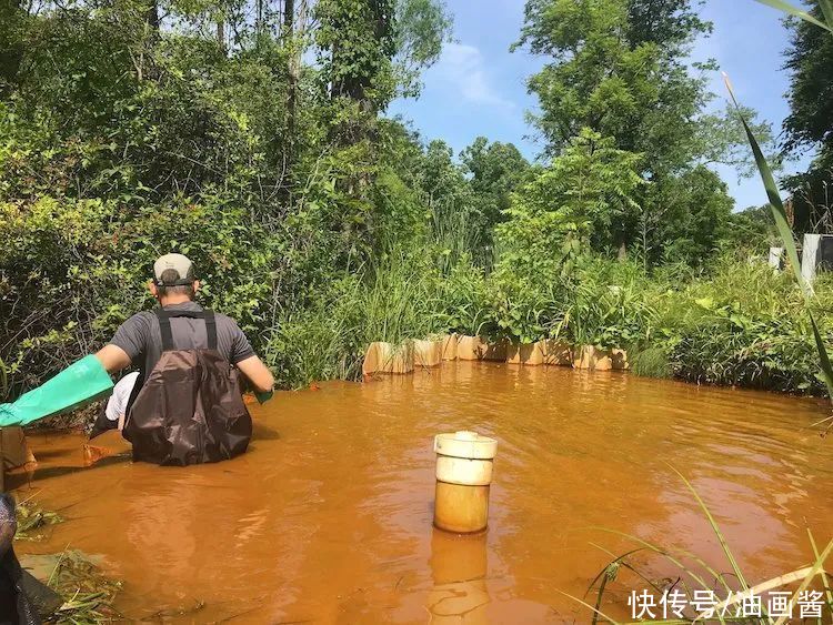 画家创作艳丽的抽象画，知道他使用的材料后，让人非常揪心