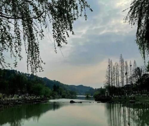 《向往的生活5》将大改，黄磊曝料厨房重任有接班者，新人小友确定要来