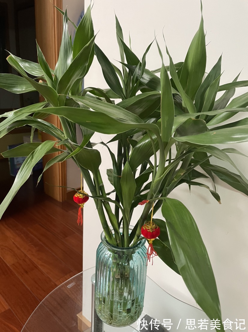 6种“洋气花”，厕所里养的旺，臭味吸光，卫生间变小花园