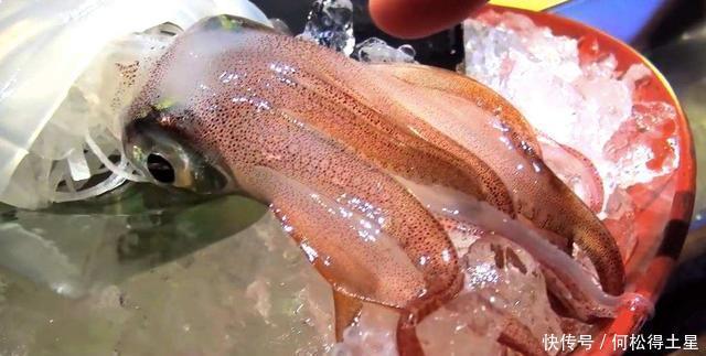 刺身|日本人有多生猛,用活鱿鱼做刺身,吃到嘴里还会动!