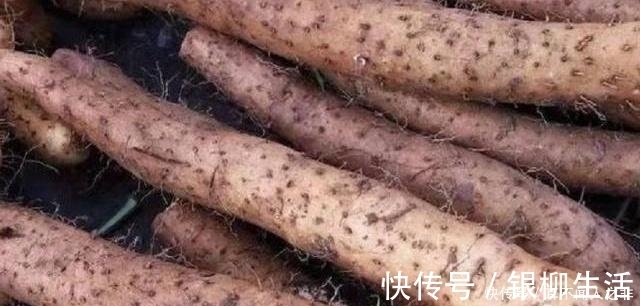 良心菜贩子的建议：要买到好山药，这3种不要碰，千万别浪费钱