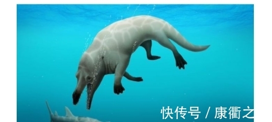 自然资源部组织开展我国台湾岛以东管辖海域海洋环境调查