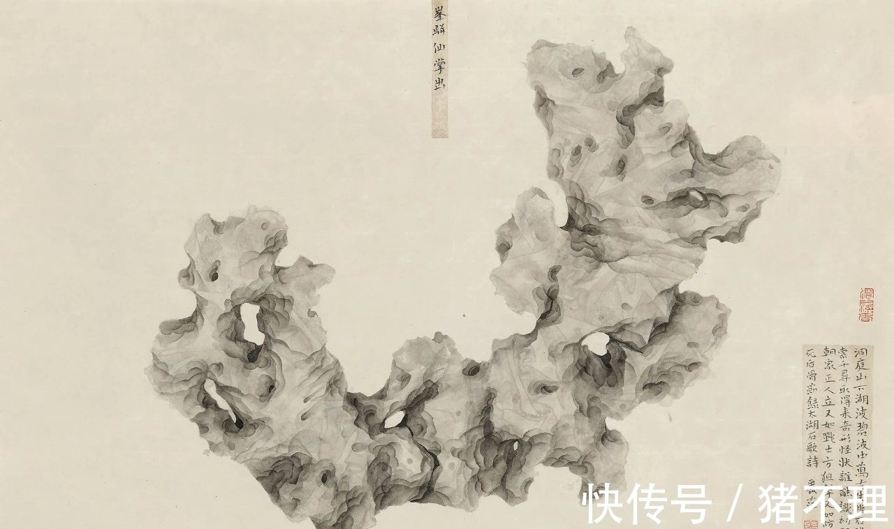 花鸟画|当代花鸟画｜张丽萍画石