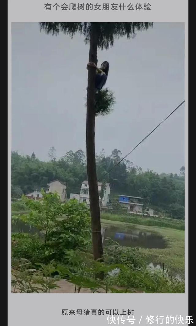 |神评段子合集：火车K是块，T是特快，Z是什么意思？