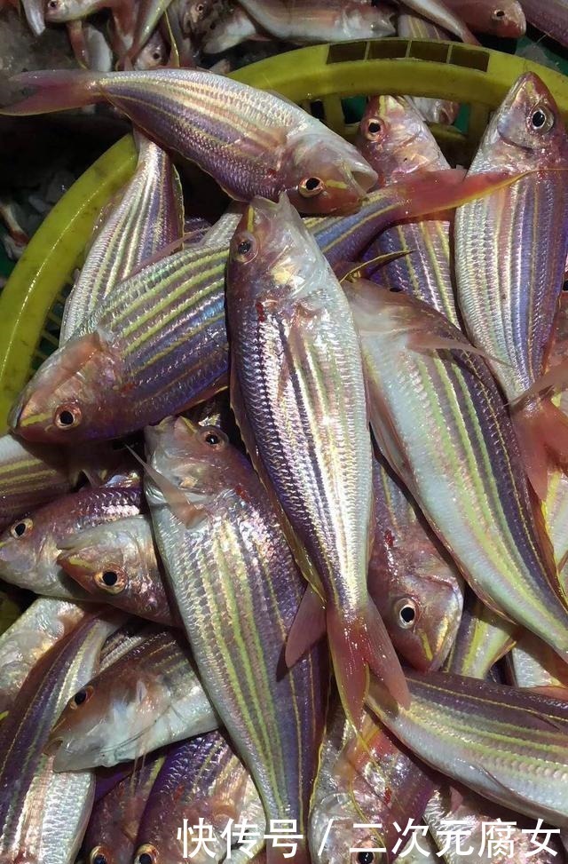 行家|以后去市场买这5种鱼,连鱼铺老板都会夸你是行家