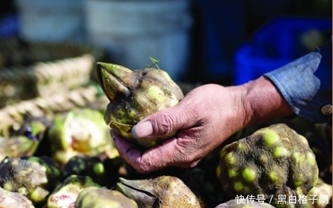  食物|男人想肾好，三种食物换着吃，给肾“加点油”！