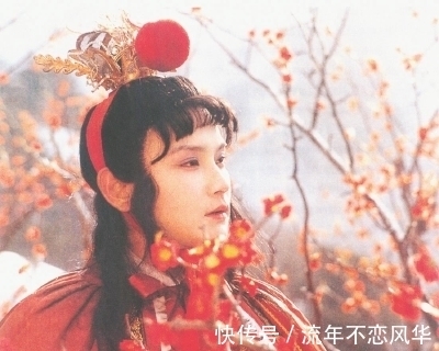 家世!红楼梦世界中,有值得托付终身的好男人吗?谁是红楼女子的良人?