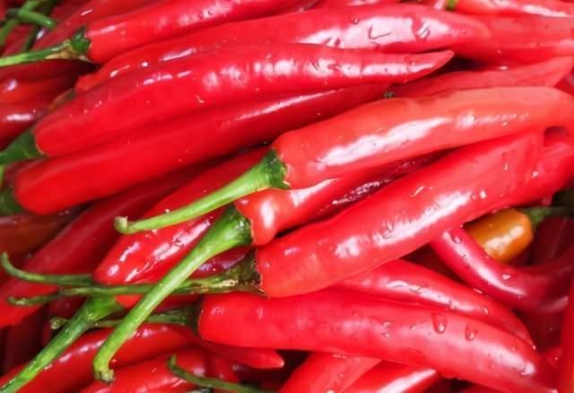 豆豉辣椒酱不用买,教你在家自制,做法和配方详细分享,特下饭