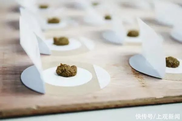 三伏贴|明起现场预约！松江这里的“三伏贴”要开始啦