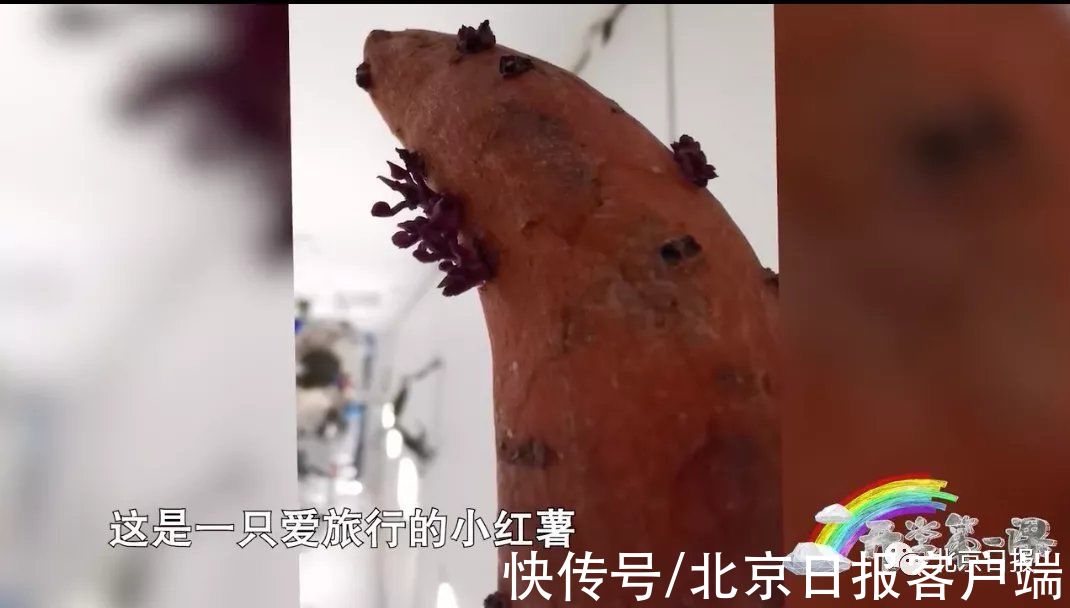 汤洪波|这堂课，霸屏热搜！网友：又哭又笑就是我