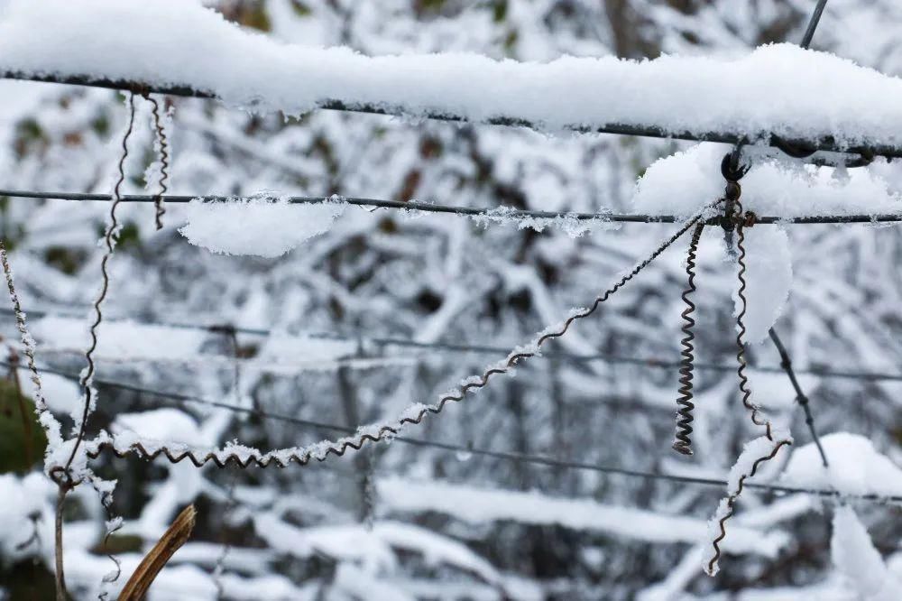 秘密|这个秘密只告诉你，刷爆朋友圈的广元雪景，都在这里了！