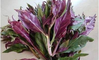 改善|40岁女性要推荐常吃3种食物,营养丰富、改善体质,好处多多!