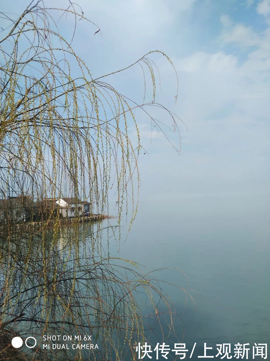 常先生|游太湖、品“三白”，今年春节这样过