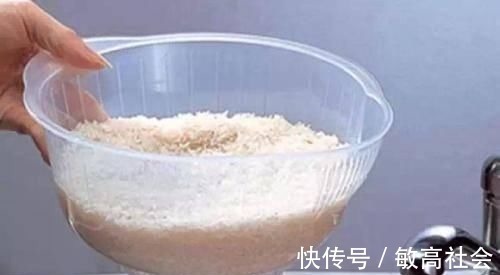 养蟹爪兰时先养根，盆里埋点这种东西，根系更旺，开花更多