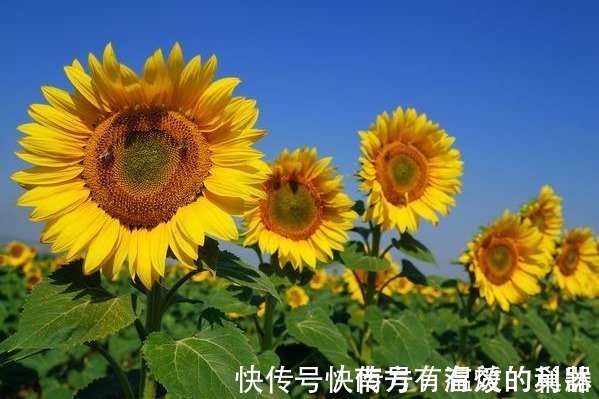 财运$时来运转的人,都有4个能力,具备其中一个就能“财运大发”!