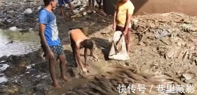 男子将水沟里的水抽干,旁人觉得可疑,结果大开眼界