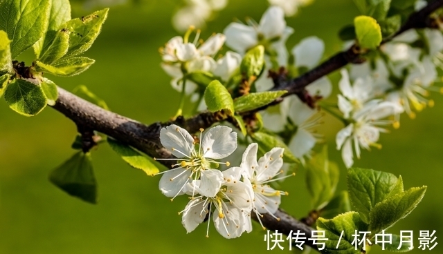 小财|11月下旬后，好运连连，财神撑腰，大财滚滚，小财不断，事业有成