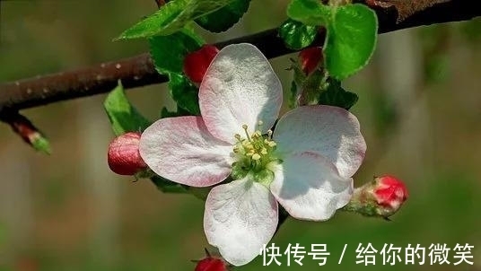 多福|七天后,踏实上进,纠缠无果,情梦不断,越过越顺,多金多福