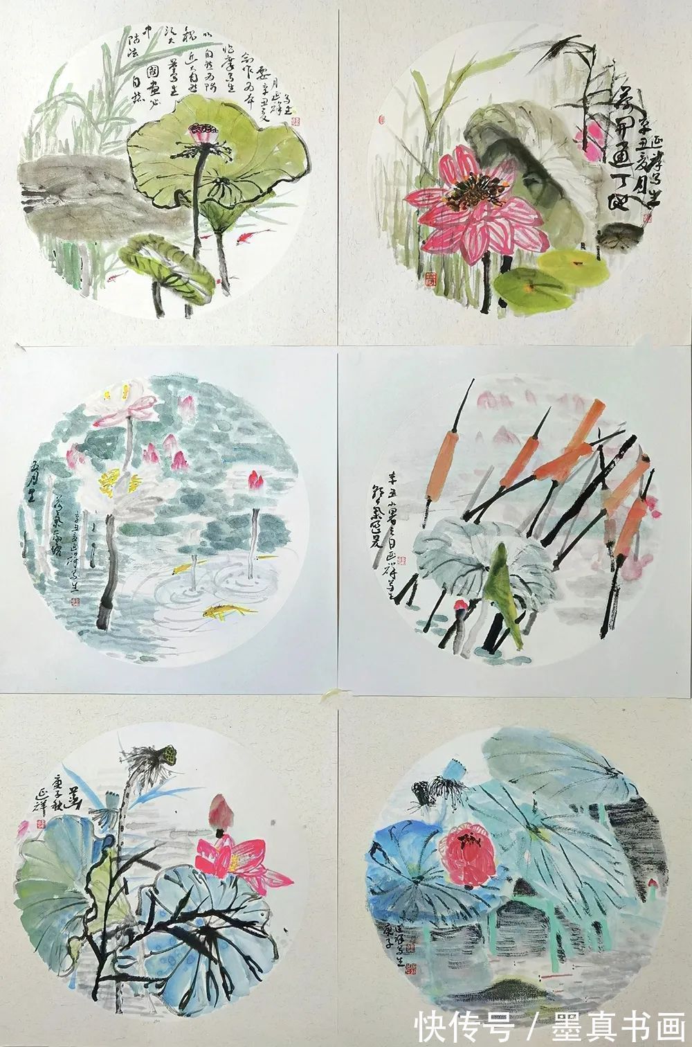 荷花写生稿&「韩延祥」|丹青追梦 水墨本色-中国当代书画名家个人云展览