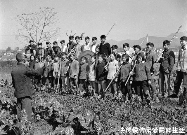 田里挖出一匹金马,发现千年宝藏,他主动上交国家,现成无价之宝
