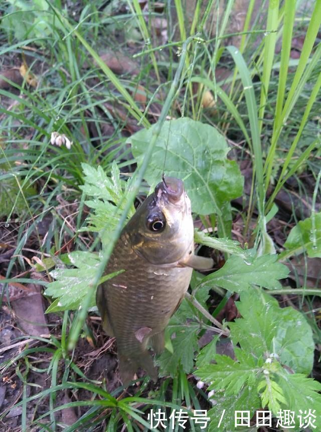 野钓小技巧浮漂做一个小改动,惊鱼几率大降