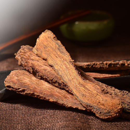 老人家|阳气少了,筋就短了!一味药,补阳+养筋,纯中医人的心声