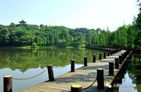 血管堵塞|65岁后的老人,选择静养好还是运动好这12种人最长寿,有你吗