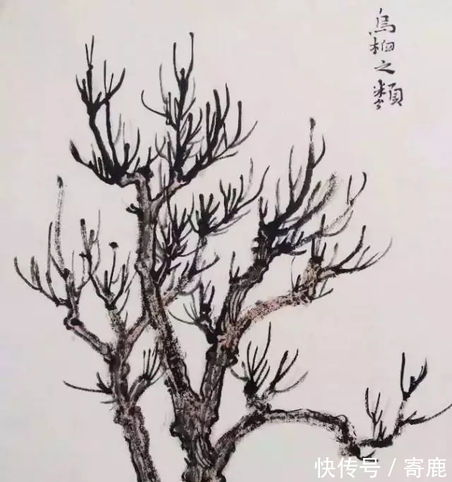 画树#国画教程|陆俨少树法