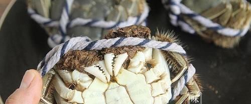 买螃蟹不要随便挑,牢记这4点,老板一看你就是行家,不敢忽悠你