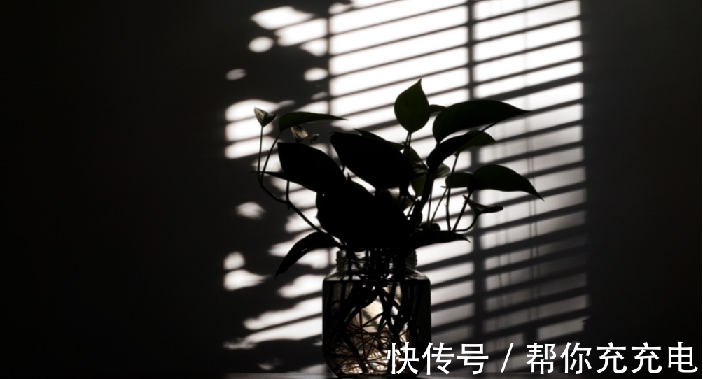 焦虑感|如果你感到很焦虑，请逼着自己去做这5件事