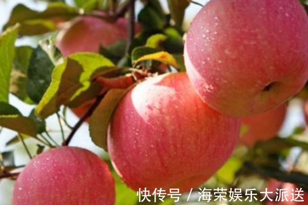 膳食纤维|苹果尽量少吃,或者最好不吃,原因在这里,早知道早改正