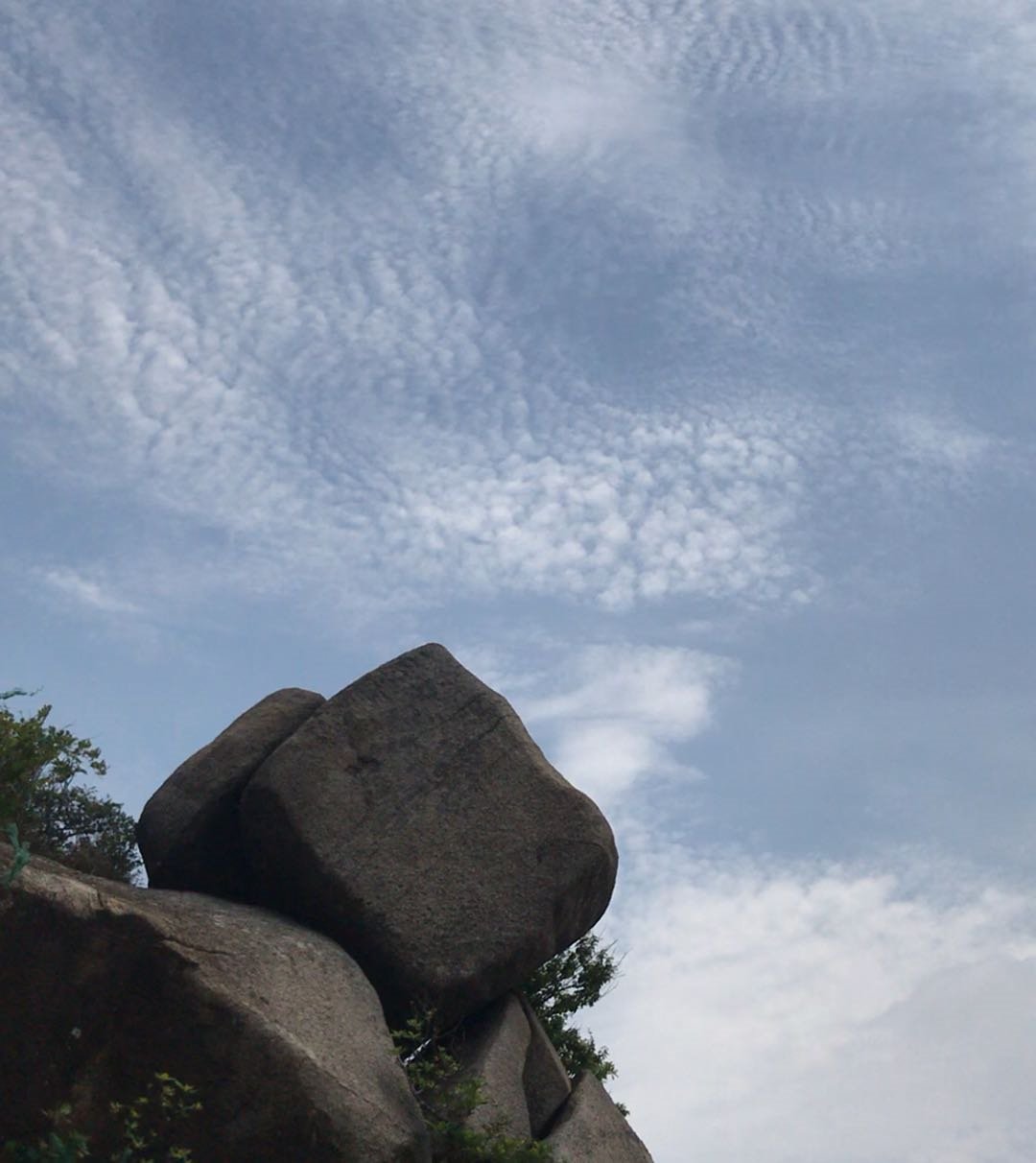  花果|?奇石＂花果＂暗香来