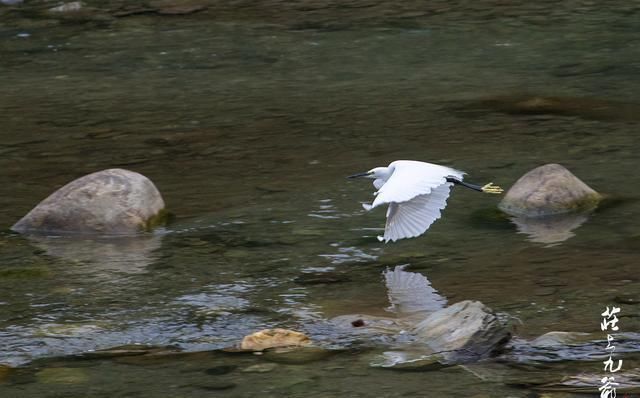 诗情画意|诗情画意的青木川在清晨的烟火中醒来