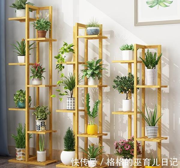 3个养花“小东西”,都是商家的智商税,花花养不好还浪费钱