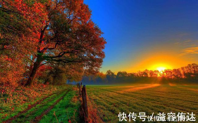 王院士|91岁院士研究失眠50年,提醒:4种食物会唤醒失眠“因子”