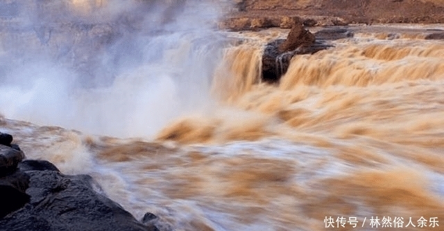 黄河水那么浑浊，为什么里面的鲤鱼却很肥美？涨知识了