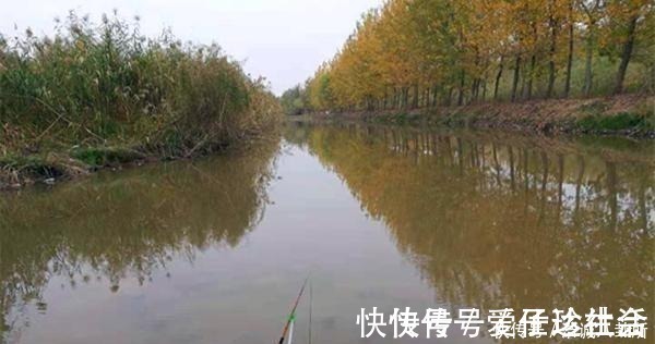 冬钓阳|冬季钓鱼,何时钓深何时钓浅?鱼窝这样找,深浅都上鱼!