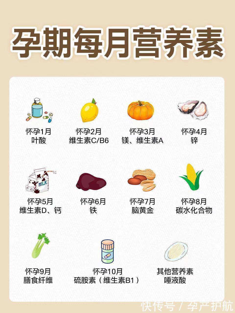 怀孕1~10月怎么吃?长胎不长肉!|孕期干货| 食物